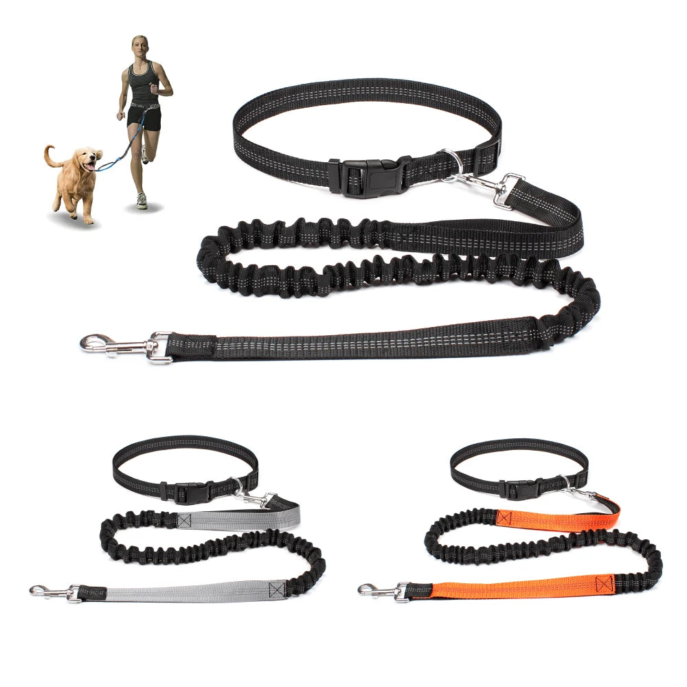 Hands-Free Dog Leash — Convertible, Adjustable, Reflective, Dual-Clip, Multi-Use