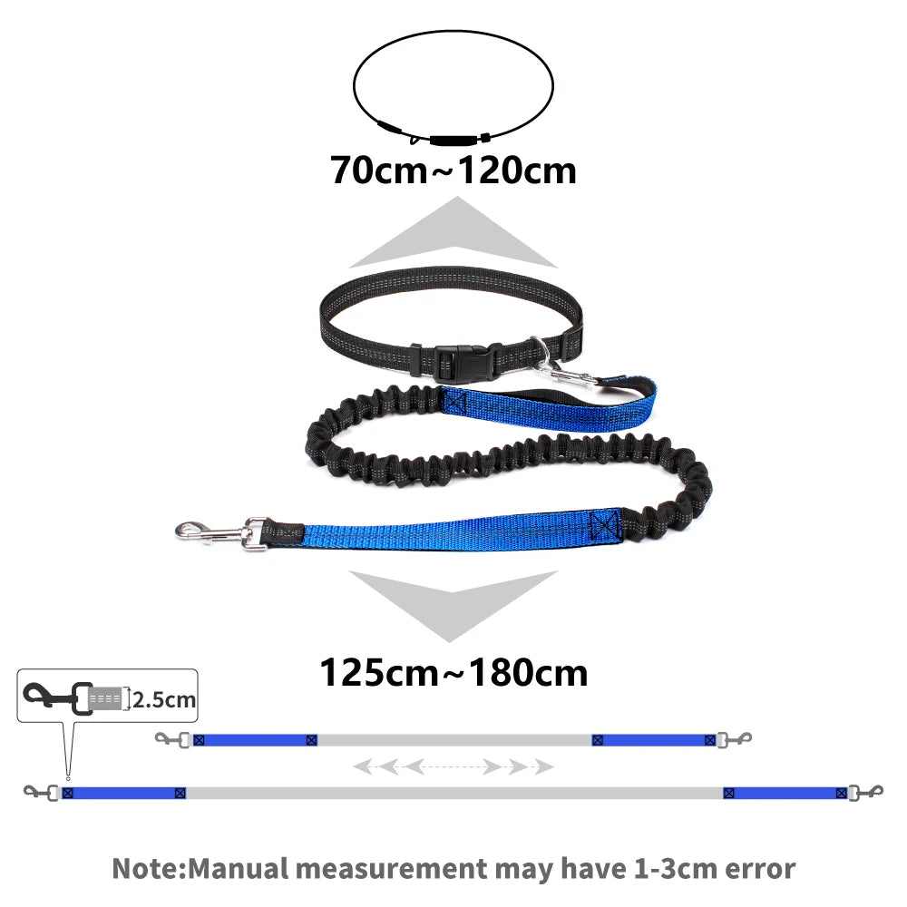Hands-Free Dog Leash — Convertible, Adjustable, Reflective, Dual-Clip, Multi-Use
