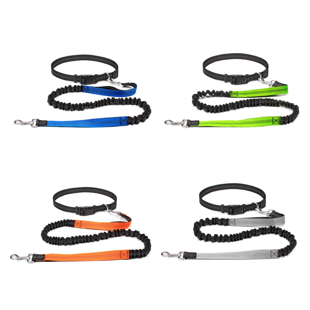 Hands-Free Dog Leash — Convertible, Adjustable, Reflective, Dual-Clip, Multi-Use