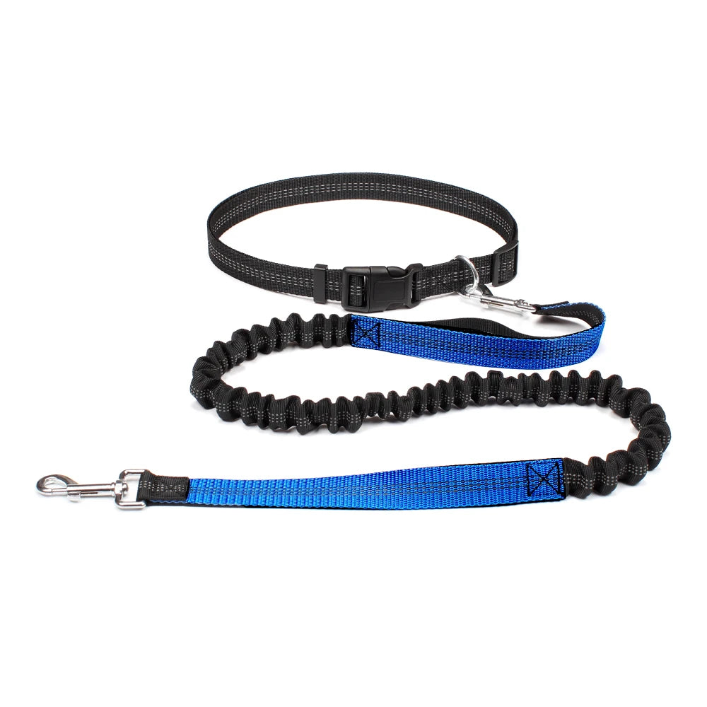 Hands-Free Dog Leash — Convertible, Adjustable, Reflective, Dual-Clip, Multi-Use
