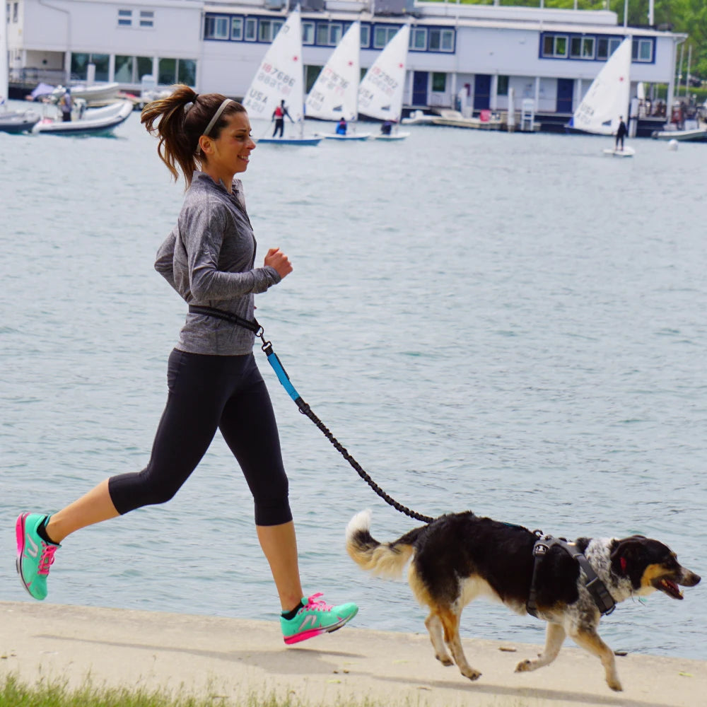 Hands-Free Dog Leash — Convertible, Adjustable, Reflective, Dual-Clip, Multi-Use