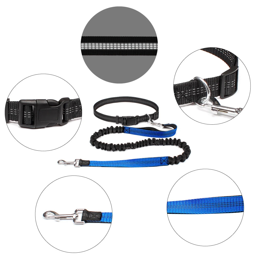 Hands-Free Dog Leash — Convertible, Adjustable, Reflective, Dual-Clip, Multi-Use