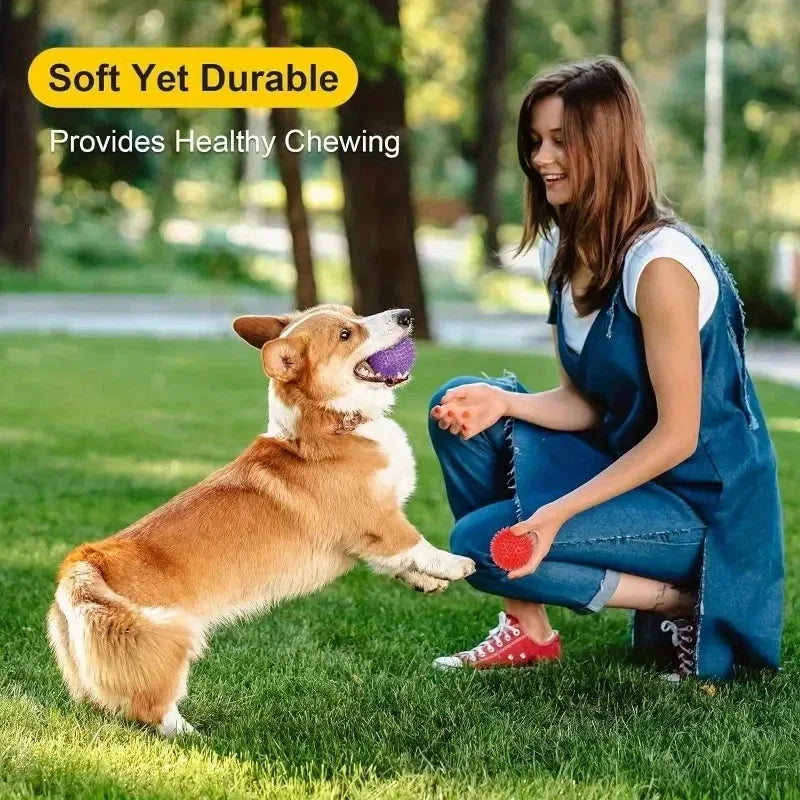 Squeaky Dog Ball — Light Up, Durable, Fetch Toy, Interactive, Puppy, Small Dogs
