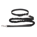 Hands-Free Dog Leash — Convertible, Adjustable, Reflective, Dual-Clip, Multi-Use