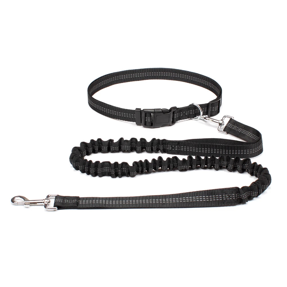 Hands-Free Dog Leash — Convertible, Adjustable, Reflective, Dual-Clip, Multi-Use