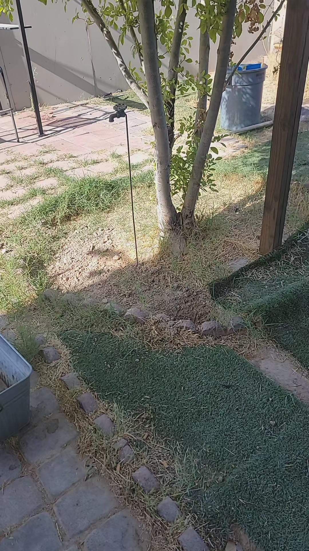 Expandable Garden Hose — Kink-Free, Lightweight, Durable, Flexible, All-Weather — demo video
