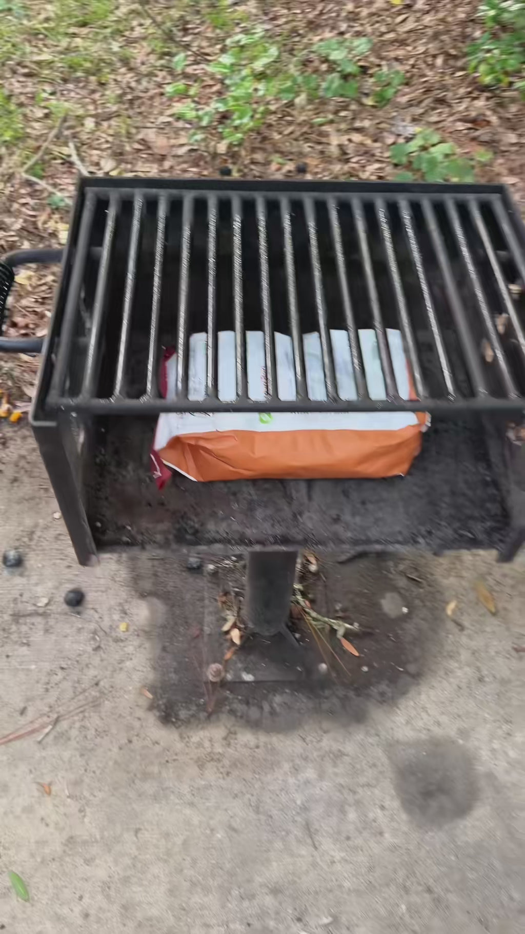 Gas Blow Torch — High Heat, Adjustable Flame, Portable, Butane Powered, Culinary — demo video