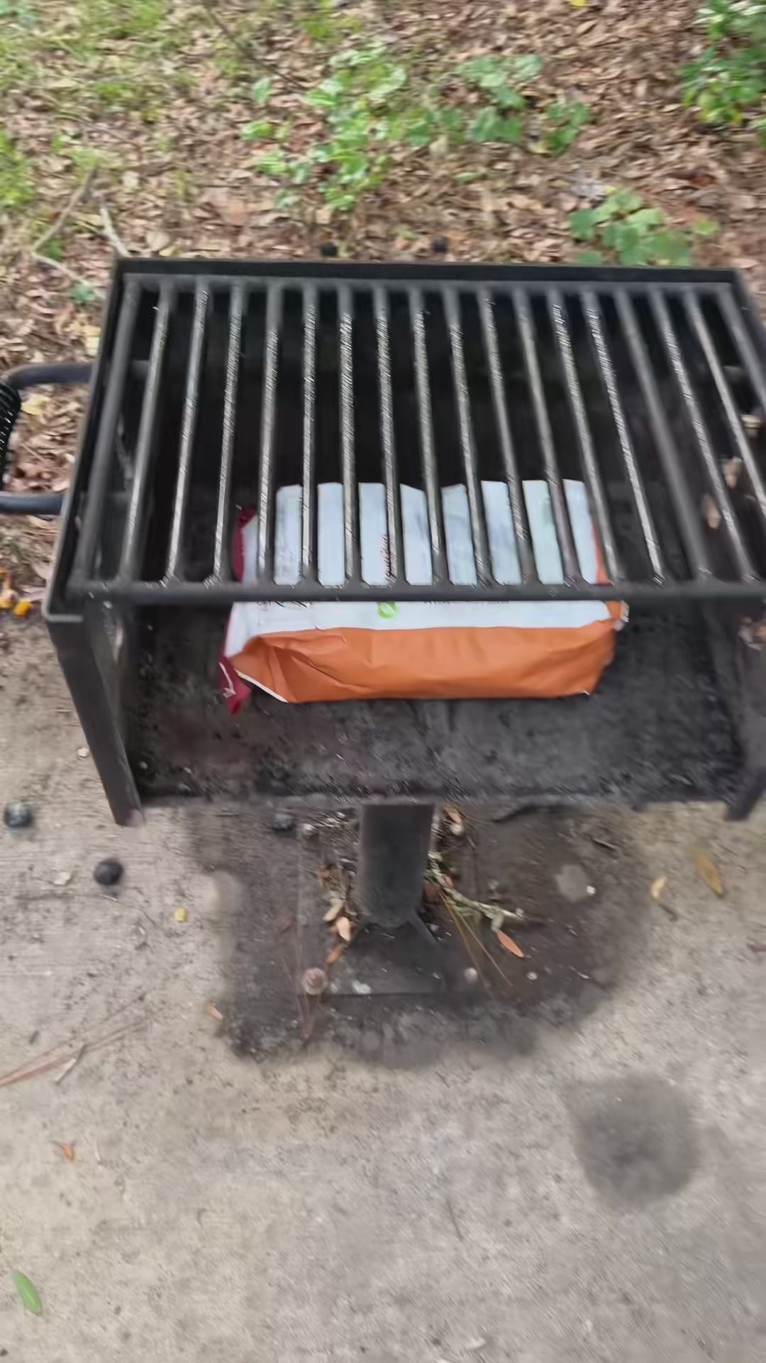 Gas Blow Torch — High Heat, Adjustable Flame, Portable, Butane Powered, Culinary — demo video